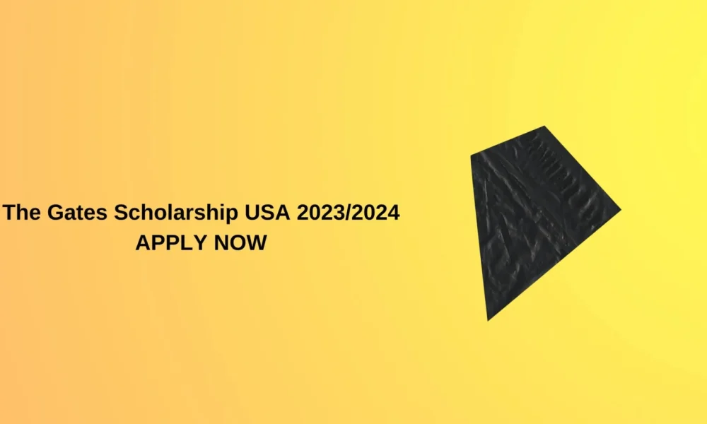 The Gates Scholarship USA 2023 17