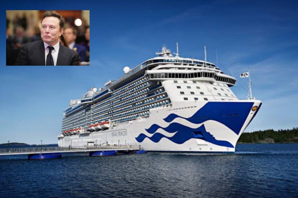 Elon Musk Acquires 65% Stake in Princess Cruises in a Bold Move into the Tourism Industry 9
